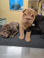 processed/f857a35f-a2db-4894-9609-5e60acbea6d5/listing/bb12e8aa-f77a-4796-9c5b-b2ceeacef84f/61a630cb-2e44-49f1-9454-7142ecb1b35a