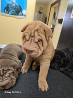 processed/f857a35f-a2db-4894-9609-5e60acbea6d5/listing/bb12e8aa-f77a-4796-9c5b-b2ceeacef84f/c7396df1-bda7-4598-852e-698886d31bc1