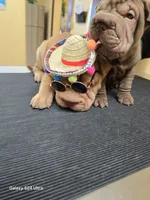 processed/f857a35f-a2db-4894-9609-5e60acbea6d5/listing/bb12e8aa-f77a-4796-9c5b-b2ceeacef84f/db867217-9f43-44fe-8318-d3587e6c7624