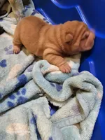 processed/f857a35f-a2db-4894-9609-5e60acbea6d5/listing/bdfb864c-aec4-4176-babb-0ac05981ed87/231c4877-0ec7-4b6f-b431-84226c14e355