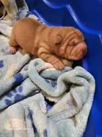 processed/f857a35f-a2db-4894-9609-5e60acbea6d5/listing/bdfb864c-aec4-4176-babb-0ac05981ed87/7780c1b3-b918-42d8-9747-b1e6b861b1ba