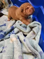 processed/f857a35f-a2db-4894-9609-5e60acbea6d5/listing/bdfb864c-aec4-4176-babb-0ac05981ed87/79d31fc9-ce42-400d-a065-d7750b899e07