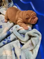 processed/f857a35f-a2db-4894-9609-5e60acbea6d5/listing/bdfb864c-aec4-4176-babb-0ac05981ed87/e340ec5a-d965-47d3-ab83-70d8c1e424a5