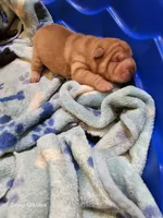 processed/f857a35f-a2db-4894-9609-5e60acbea6d5/listing/bdfb864c-aec4-4176-babb-0ac05981ed87/f10701c0-493c-4308-afa8-6ae52b2813db