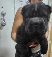 processed/f857a35f-a2db-4894-9609-5e60acbea6d5/listing/be362e39-94db-45c1-92f6-2c72f9e5ef1e/03b2465d-b184-420b-91a4-4bcdc11d1af7