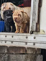 processed/f857a35f-a2db-4894-9609-5e60acbea6d5/listing/be362e39-94db-45c1-92f6-2c72f9e5ef1e/0973d377-2744-4027-8e1c-9f66839b1e1a