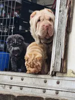 processed/f857a35f-a2db-4894-9609-5e60acbea6d5/listing/be362e39-94db-45c1-92f6-2c72f9e5ef1e/64388e16-09bd-4037-ad27-5361d11897bb