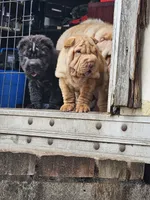 processed/f857a35f-a2db-4894-9609-5e60acbea6d5/listing/be362e39-94db-45c1-92f6-2c72f9e5ef1e/b8389a04-3160-4b80-a02e-f1b8e7777ad5