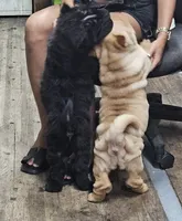 processed/f857a35f-a2db-4894-9609-5e60acbea6d5/listing/be362e39-94db-45c1-92f6-2c72f9e5ef1e/e16442e1-4677-4246-b617-ad9743bb2324