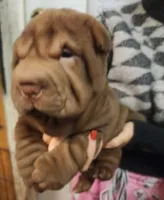 processed/f857a35f-a2db-4894-9609-5e60acbea6d5/listing/c5897200-2c66-4baa-832d-8741daa81384/0391c8c6-a9ec-48fc-9835-1e48885b830d