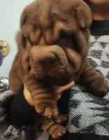 processed/f857a35f-a2db-4894-9609-5e60acbea6d5/listing/c5897200-2c66-4baa-832d-8741daa81384/4690089c-3264-484b-b7e8-ff4f579426f6