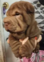 processed/f857a35f-a2db-4894-9609-5e60acbea6d5/listing/c5897200-2c66-4baa-832d-8741daa81384/4a593da9-636a-4665-a4d3-97bface342c4