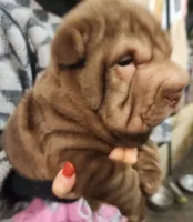 processed/f857a35f-a2db-4894-9609-5e60acbea6d5/listing/c5897200-2c66-4baa-832d-8741daa81384/e99d24ac-8daf-43b5-8a7e-65fba1f38eae