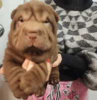 processed/f857a35f-a2db-4894-9609-5e60acbea6d5/listing/c5897200-2c66-4baa-832d-8741daa81384/fd6cdd5d-de1f-41a2-a3d0-97a0b8312b59