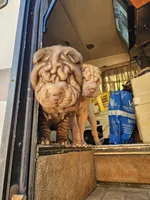 processed/f857a35f-a2db-4894-9609-5e60acbea6d5/listing/c5c989ae-09b2-4666-8547-323fb2ff9a96/7bcdb604-8669-4f8f-a182-761e2b8db4b5