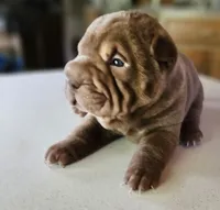 processed/f857a35f-a2db-4894-9609-5e60acbea6d5/listing/cadca213-7a08-4e08-896f-126416e36e39/3336e35f-732f-47a7-8410-908ffef04c32