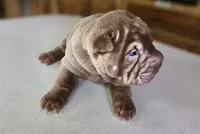 processed/f857a35f-a2db-4894-9609-5e60acbea6d5/listing/cadca213-7a08-4e08-896f-126416e36e39/596a1ff3-be7d-4dab-a2ad-d209e216ee9d