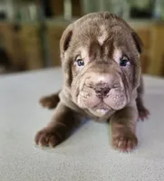 processed/f857a35f-a2db-4894-9609-5e60acbea6d5/listing/cadca213-7a08-4e08-896f-126416e36e39/67a37e1a-13fc-4c9f-bd9b-2736f43f2443