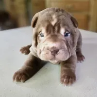 processed/f857a35f-a2db-4894-9609-5e60acbea6d5/listing/cadca213-7a08-4e08-896f-126416e36e39/9ae5b732-0c2b-437d-ab0d-399cc1cb4fdb