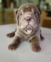 processed/f857a35f-a2db-4894-9609-5e60acbea6d5/listing/cadca213-7a08-4e08-896f-126416e36e39/c7571b89-ec3d-40af-af6e-169d14234467