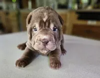 processed/f857a35f-a2db-4894-9609-5e60acbea6d5/listing/cadca213-7a08-4e08-896f-126416e36e39/efbf4cf4-f861-4443-b40c-7e6ac2d2dcf3