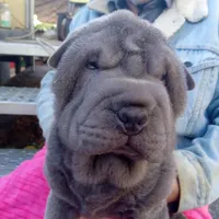 processed/f857a35f-a2db-4894-9609-5e60acbea6d5/listing/d06c57cc-2ebd-45e1-8e67-631aa682d723/13a2af93-4ac5-4127-8425-d02f4c02c33c