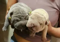 processed/f857a35f-a2db-4894-9609-5e60acbea6d5/listing/d06c57cc-2ebd-45e1-8e67-631aa682d723/83466537-fb6a-4ec2-9594-9891beffc36c