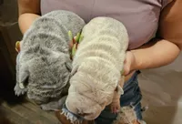 processed/f857a35f-a2db-4894-9609-5e60acbea6d5/listing/d06c57cc-2ebd-45e1-8e67-631aa682d723/d892ed10-abc3-4a19-861a-606de2255a8b