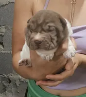 processed/f857a35f-a2db-4894-9609-5e60acbea6d5/listing/d439a0f4-2331-44c5-a4a3-92bc761a13e3/444b425e-b6bc-4914-a8e8-6afeb010d4bc