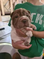 processed/f857a35f-a2db-4894-9609-5e60acbea6d5/listing/d439a0f4-2331-44c5-a4a3-92bc761a13e3/5555b5da-48c8-433b-abed-c80c7fb334e8