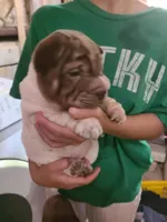 processed/f857a35f-a2db-4894-9609-5e60acbea6d5/listing/d439a0f4-2331-44c5-a4a3-92bc761a13e3/849a26fe-27b4-4d69-8723-cb46b4472527