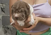 processed/f857a35f-a2db-4894-9609-5e60acbea6d5/listing/d439a0f4-2331-44c5-a4a3-92bc761a13e3/c05cd64b-35fd-4c7e-b587-bb6deb5b542e