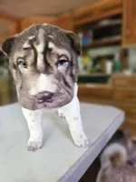 processed/f857a35f-a2db-4894-9609-5e60acbea6d5/listing/d439a0f4-2331-44c5-a4a3-92bc761a13e3/d5387721-99ca-427f-b535-c4ddc4139800