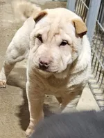 processed/f857a35f-a2db-4894-9609-5e60acbea6d5/listing/ddfaf00d-1190-44a9-9f17-8c71a35589a8/07887532-f72c-4546-a7da-ab89ef0469f5