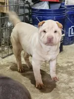 processed/f857a35f-a2db-4894-9609-5e60acbea6d5/listing/ddfaf00d-1190-44a9-9f17-8c71a35589a8/8cf4533a-1c56-47c1-bb19-0765da758637