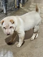 processed/f857a35f-a2db-4894-9609-5e60acbea6d5/listing/ddfaf00d-1190-44a9-9f17-8c71a35589a8/a17e155f-9606-43e9-9dcc-05c83db44dc9