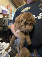 processed/f857a35f-a2db-4894-9609-5e60acbea6d5/listing/eeb8bf31-9379-4554-8622-cc11f8180393/355d3cfd-fc50-4472-9269-d1667c2c5eae