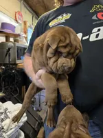 processed/f857a35f-a2db-4894-9609-5e60acbea6d5/listing/eeb8bf31-9379-4554-8622-cc11f8180393/5c84e83f-071c-4c39-bf58-517ec15cdedf