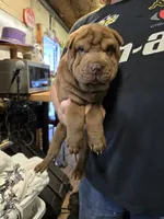 processed/f857a35f-a2db-4894-9609-5e60acbea6d5/listing/eeb8bf31-9379-4554-8622-cc11f8180393/798f329a-8915-4451-ab5b-b0700dd53b5f