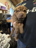 processed/f857a35f-a2db-4894-9609-5e60acbea6d5/listing/eeb8bf31-9379-4554-8622-cc11f8180393/8ef43b85-1550-4ef2-95d6-8475b5c89419