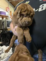 processed/f857a35f-a2db-4894-9609-5e60acbea6d5/listing/eeb8bf31-9379-4554-8622-cc11f8180393/c5b6d0e2-7fa3-440e-a607-8ba94b4711a5