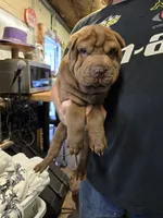 processed/f857a35f-a2db-4894-9609-5e60acbea6d5/listing/eeb8bf31-9379-4554-8622-cc11f8180393/d469dfd1-334d-4ae6-a1a5-784c5ba6025f