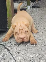 processed/f857a35f-a2db-4894-9609-5e60acbea6d5/listing/fe701724-c7fc-4750-95ae-0fba6a31f158/08edf878-a02d-49d4-a96e-28026ccdb495