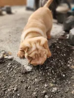 processed/f857a35f-a2db-4894-9609-5e60acbea6d5/listing/fe701724-c7fc-4750-95ae-0fba6a31f158/607bee2b-aec3-4b48-b438-36af433631a5