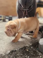 processed/f857a35f-a2db-4894-9609-5e60acbea6d5/listing/fe701724-c7fc-4750-95ae-0fba6a31f158/70eb8b38-9744-4b03-88b1-3da4f9a1faa0