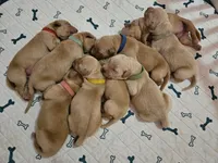 processed/f8591f7a-c59c-40bd-9cd2-77cdaa273c21/facility/0b5b155c-3d31-4948-a248-33970494d2e0