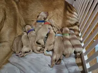 processed/f8591f7a-c59c-40bd-9cd2-77cdaa273c21/facility/32a7bb1b-3d01-4b03-a335-853fd4d5644c