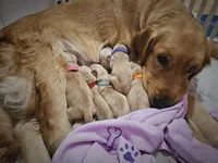 processed/f8591f7a-c59c-40bd-9cd2-77cdaa273c21/facility/66072750-dda7-44d4-8c07-0736db002d4d