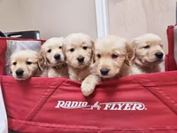 processed/f8591f7a-c59c-40bd-9cd2-77cdaa273c21/facility/8bc0e575-e704-4f26-be1f-39fb41685e18