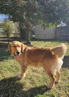 processed/f8591f7a-c59c-40bd-9cd2-77cdaa273c21/facility/9fcc27a3-224c-47e0-ab29-ad33fcd01807